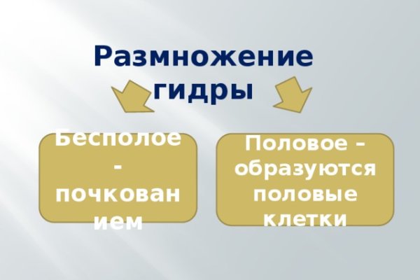 Кракен сайт ссылка тор браузере